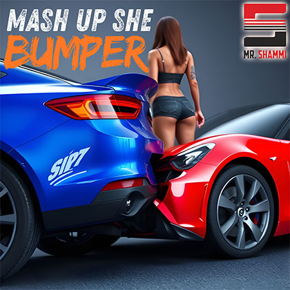 MR. SHAMMI - MASH UP SHE BUMPER